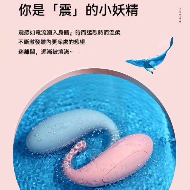小藍鯨跳蛋