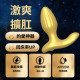 金牛座 男用肛塞